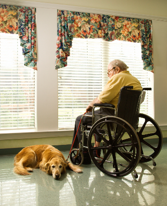 man in wheelchair